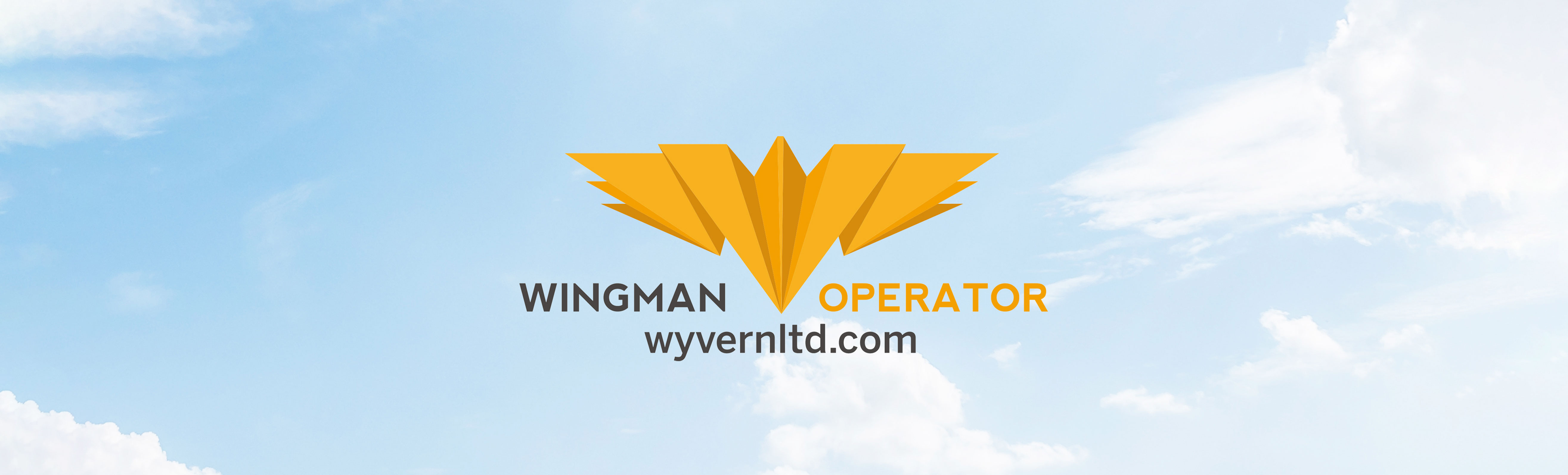 TAG Aviation (UK) Ltd receives renewed Wyvern Wingman Operating Status