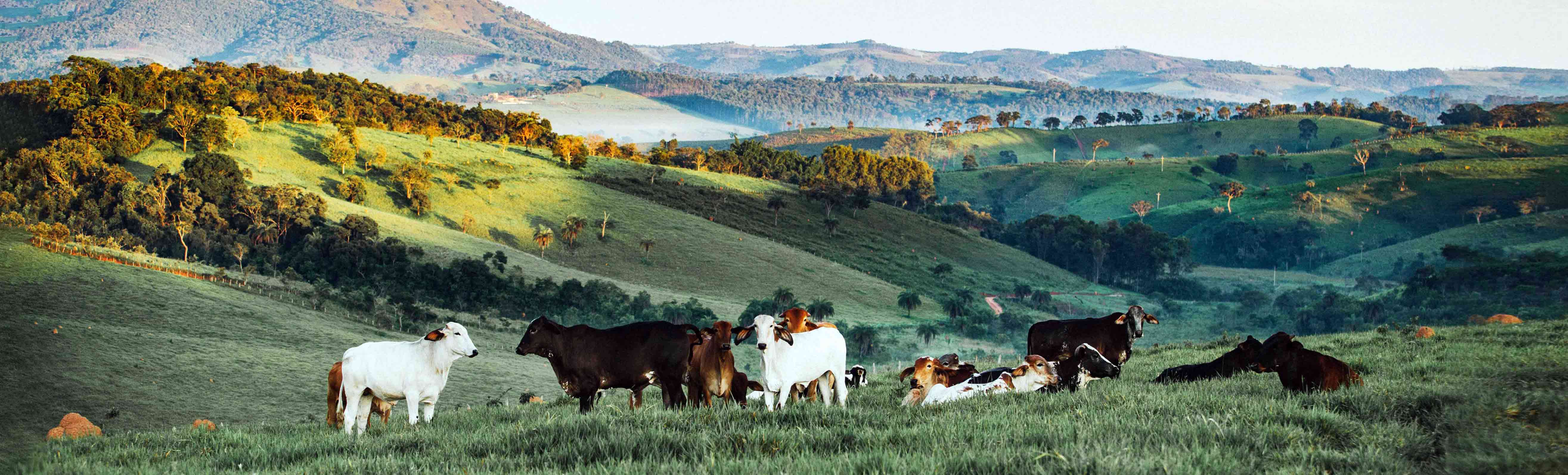 TAG Aviation selects Climate Care to offset its clients’ carbon emissions and improve lives